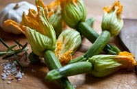 ZucchiniBlossom.jpg