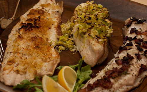 FishPlate