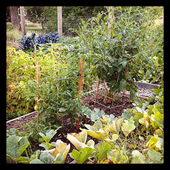 WholeGarden