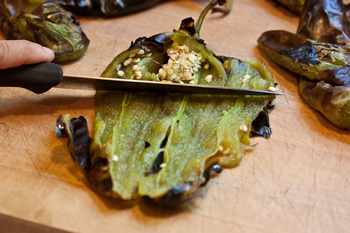 SeedChiles